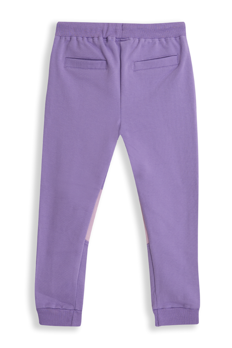 Daan Purple