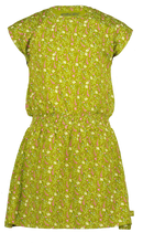 Lora