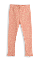 Roos Blooming Dahlia