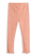 Roos Blooming Dahlia