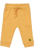 Levi